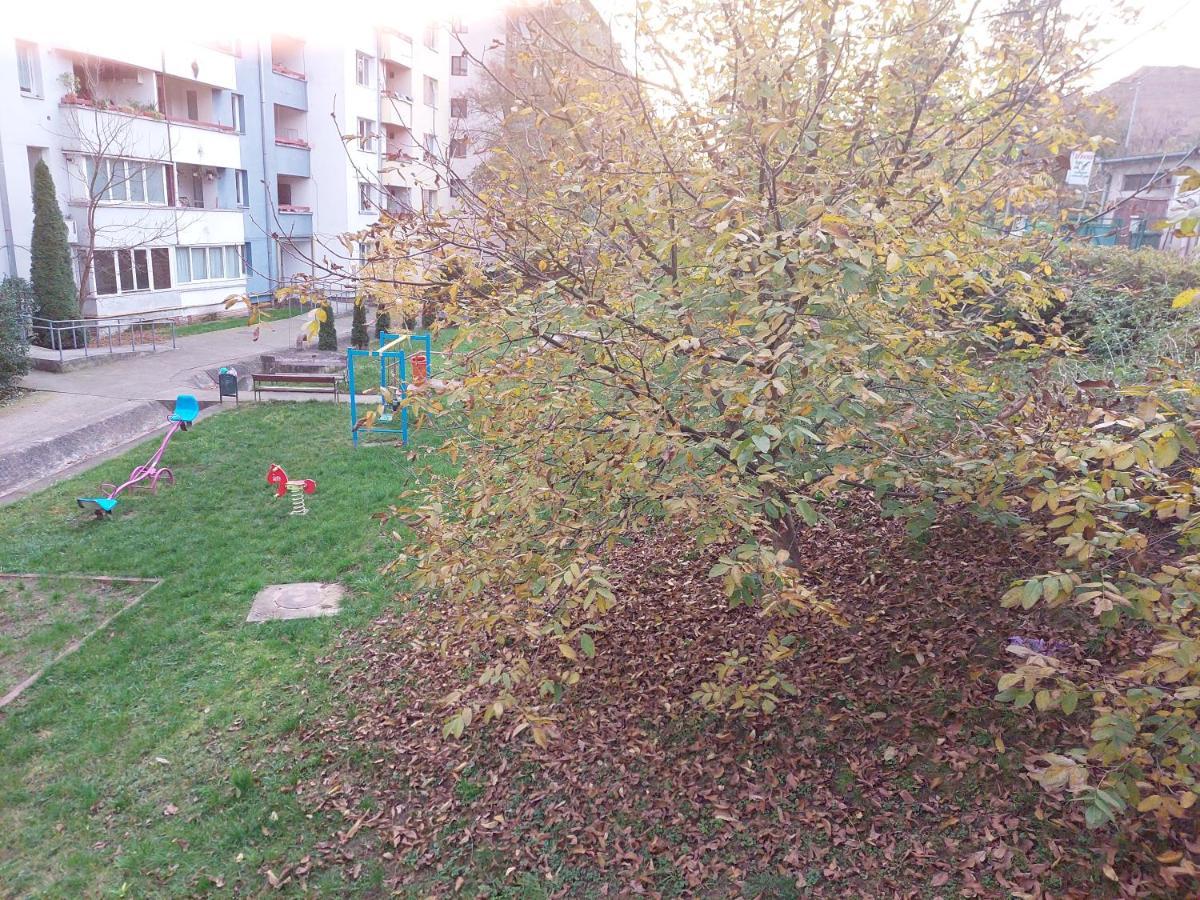 Cosy Apartment I Тиргу-Муреш Екстер'єр фото