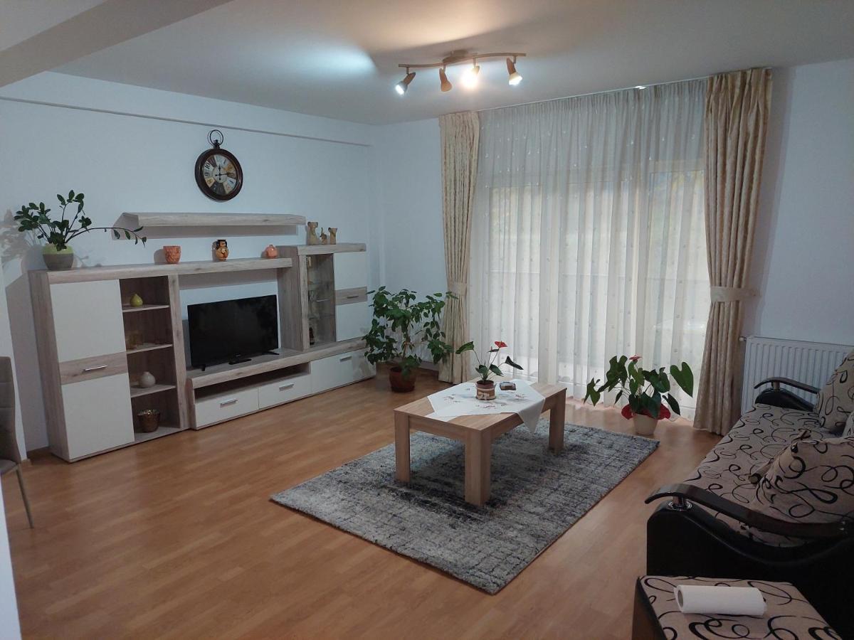 Cosy Apartment I Тиргу-Муреш Екстер'єр фото