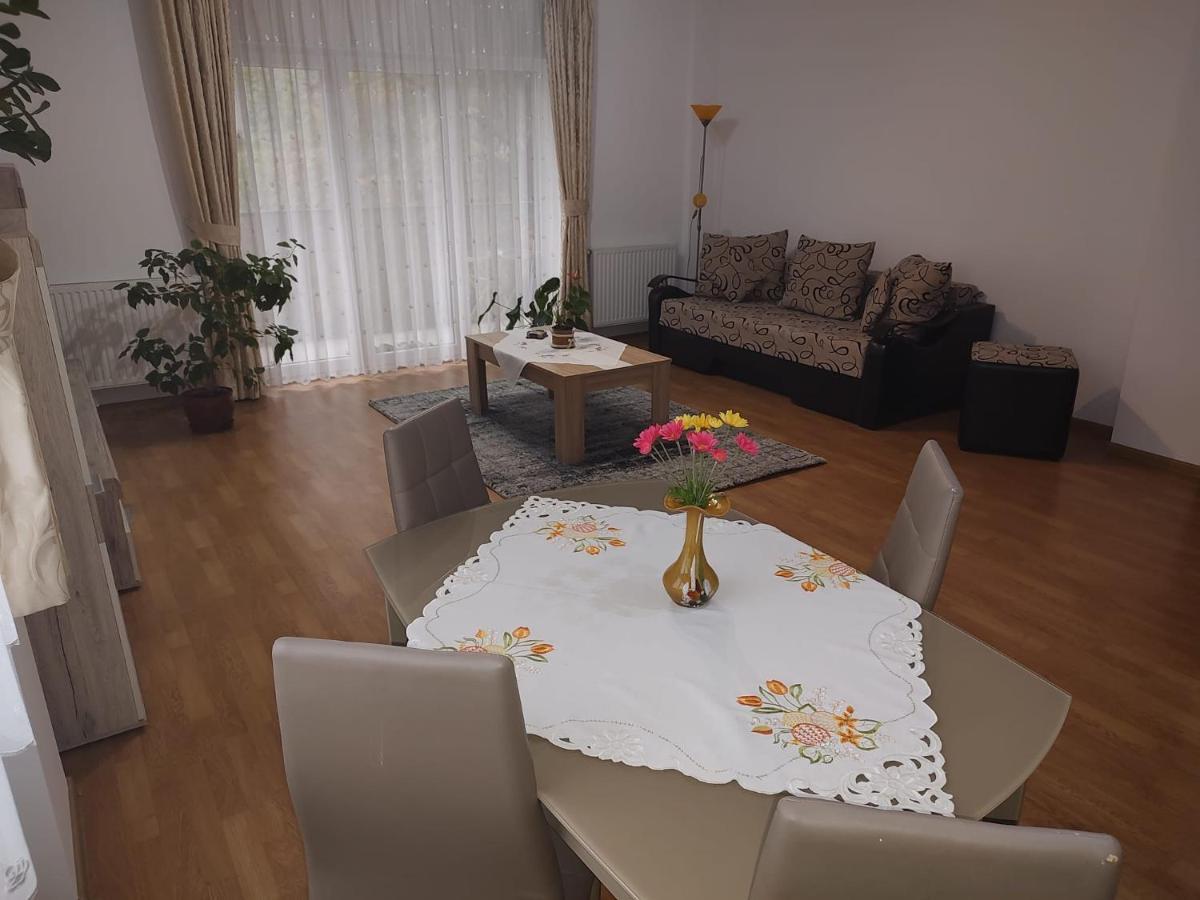 Cosy Apartment I Тиргу-Муреш Екстер'єр фото