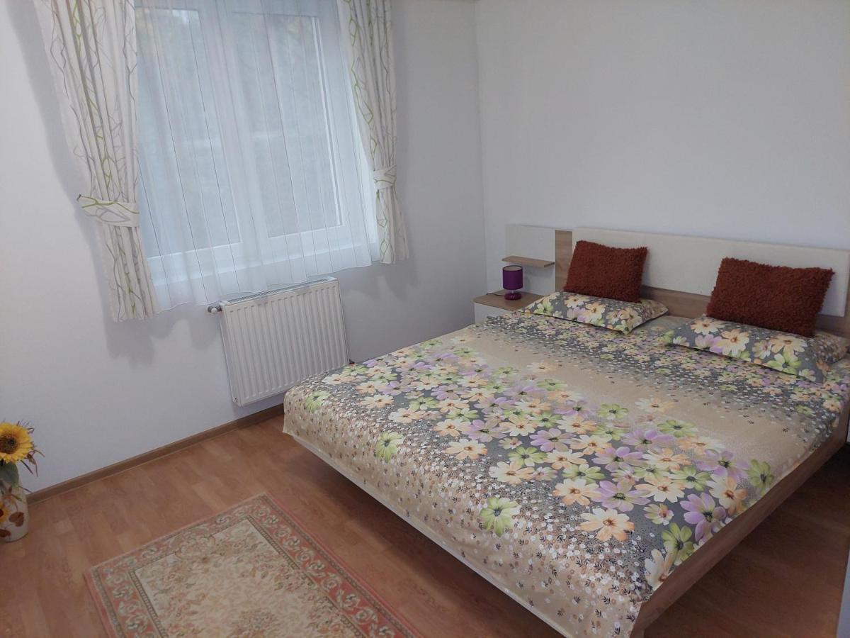 Cosy Apartment I Тиргу-Муреш Екстер'єр фото