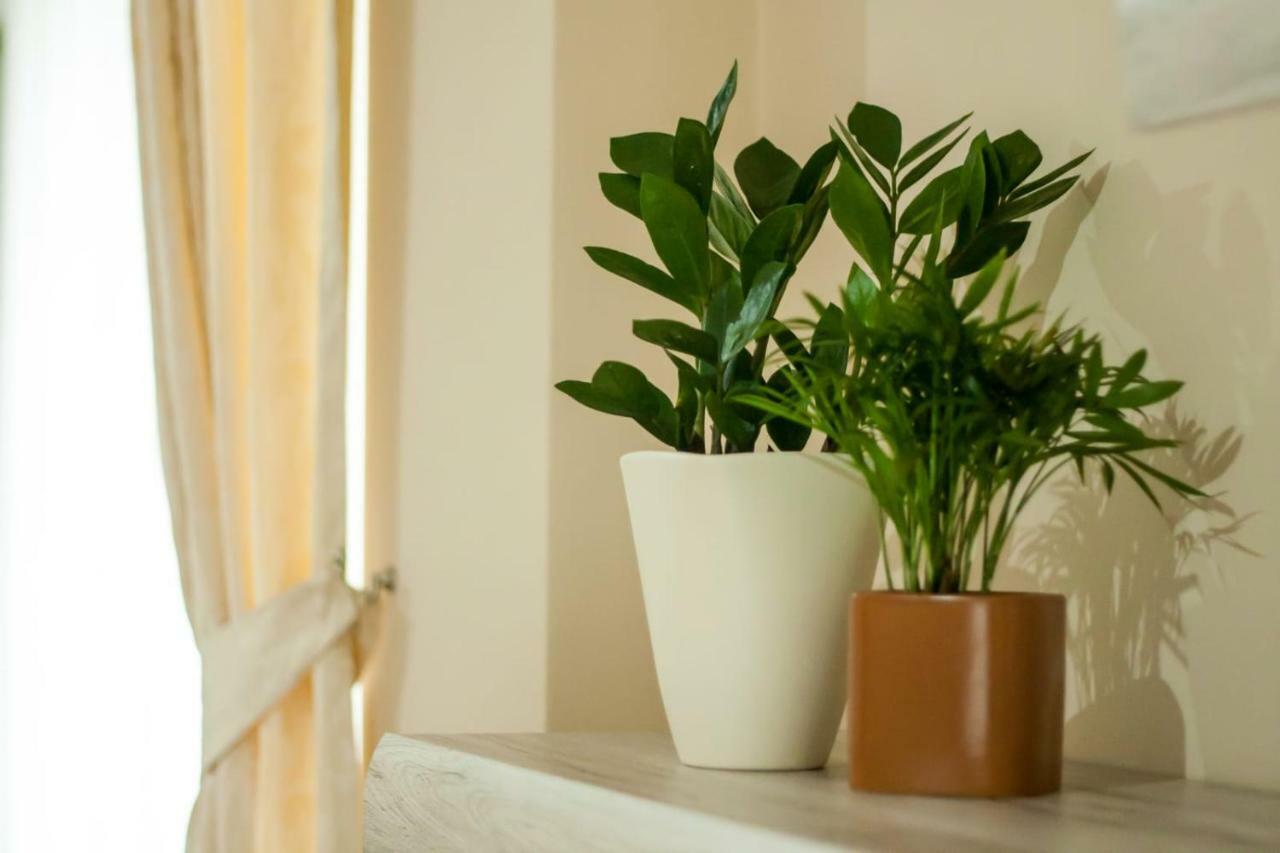 Cosy Apartment I Тиргу-Муреш Екстер'єр фото